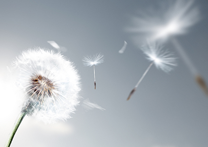 6137aba3-6b6e-4a7e-8935-bce63167c0bb