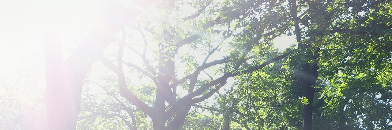 6ad6208a-24c8-44f5-aa29-1f09fbf256fc